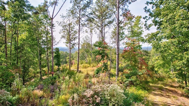 32 Oak Hill Rd, Ellijay, GA 30540