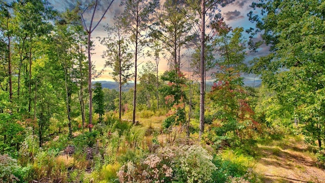 32 Oak Hill Rd, Ellijay, GA 30540
