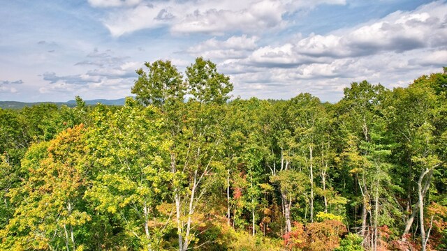 32 Oak Hill Rd, Ellijay, GA 30540