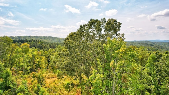 32 Oak Hill Rd, Ellijay, GA 30540
