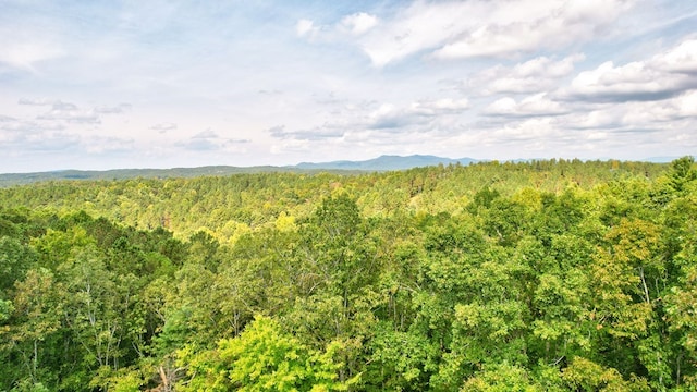32 Oak Hill Rd, Ellijay, GA 30540