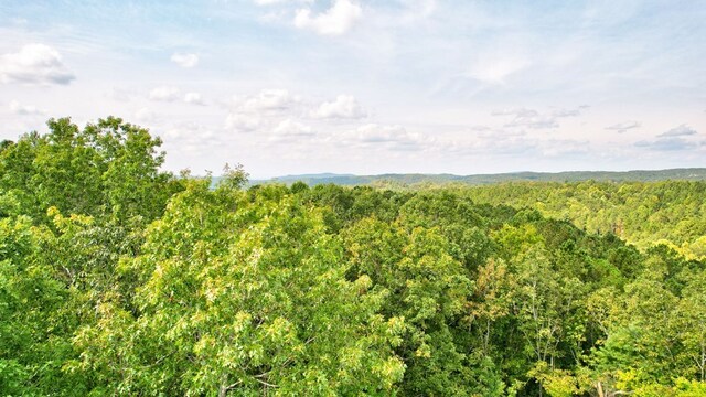 32 Oak Hill Rd, Ellijay, GA 30540