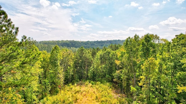 32 Oak Hill Rd, Ellijay, GA 30540