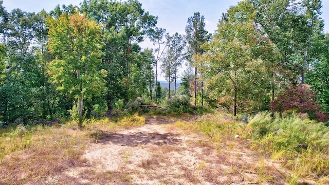 32 Oak Hill Rd, Ellijay, GA 30540