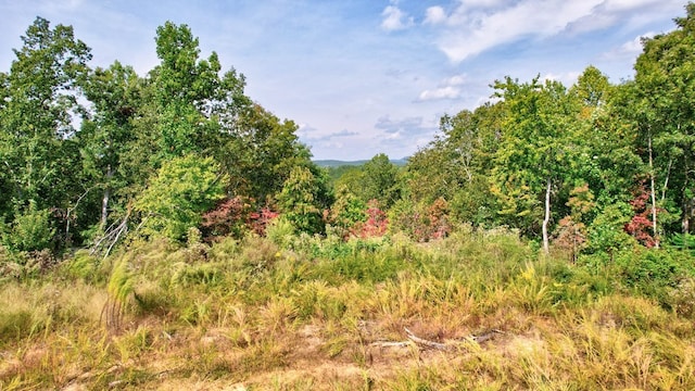 32 Oak Hill Rd, Ellijay, GA 30540