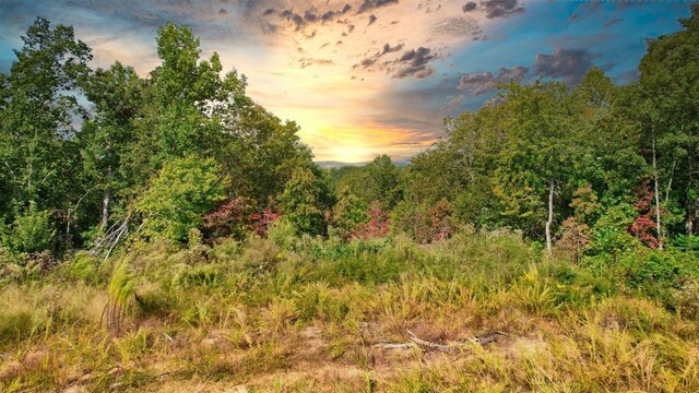 32 Oak Hill Rd, Ellijay, GA 30540