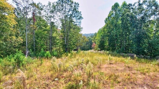32 Oak Hill Rd, Ellijay, GA 30540