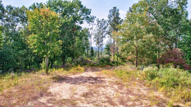 32 Oak Hill Rd, Ellijay, GA 30540