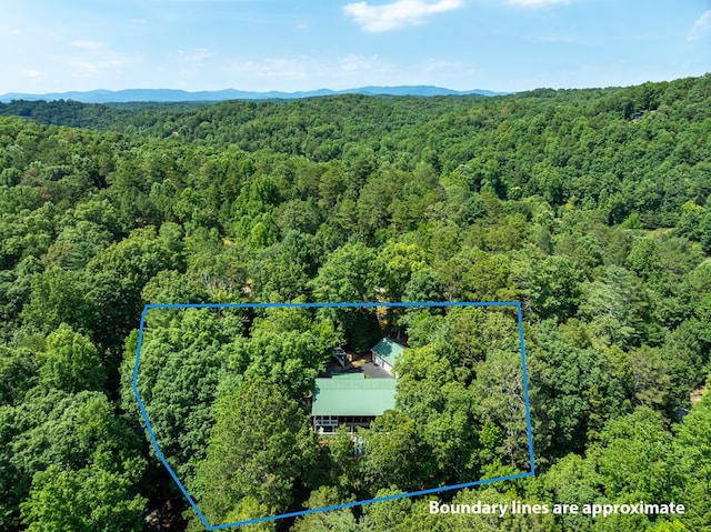 bird's eye view featuring a mountain view and a view of trees