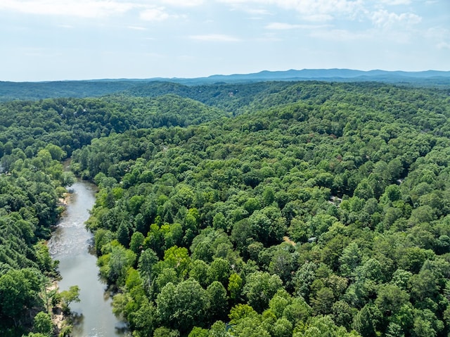 drone / aerial view featuring a forest view and a water and mountain view