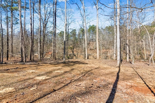 view of local wilderness