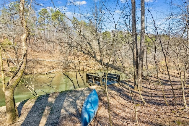 exterior space with a boat dock and a water view