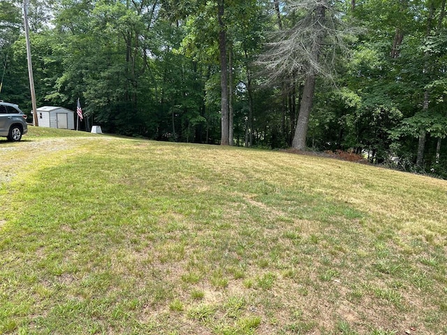 view of yard featuring a storage shed