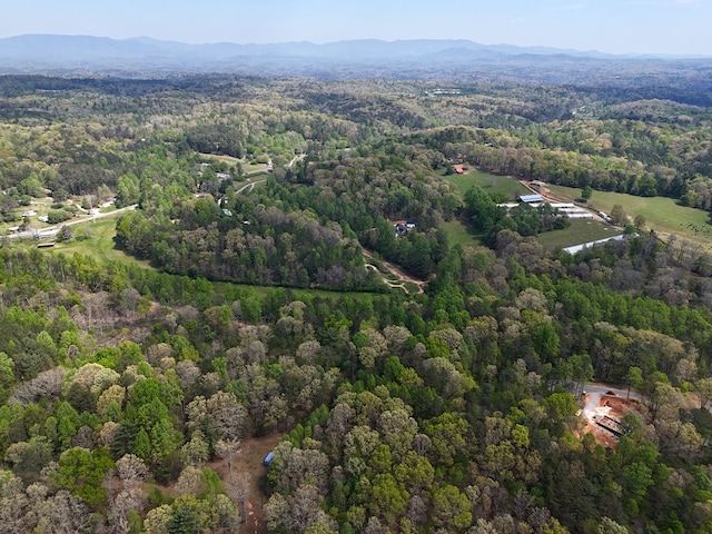 LOT36R Hilton Dr, Ellijay, GA 30540