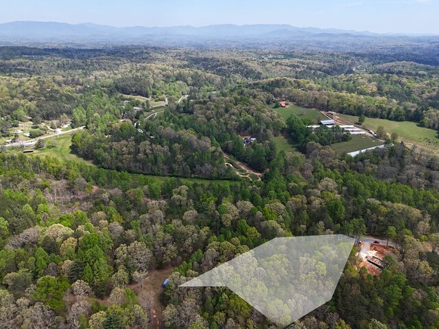 LOT36R Hilton Dr, Ellijay, GA 30540