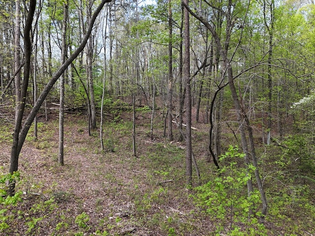 LOT36R Hilton Dr, Ellijay, GA 30540