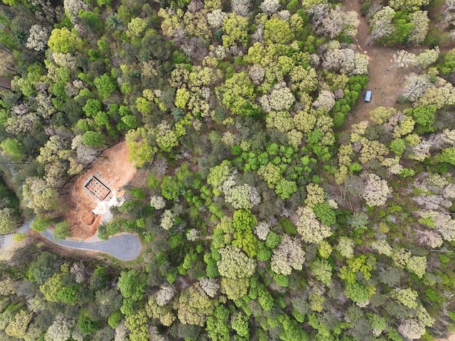 LOT36R Hilton Dr, Ellijay, GA 30540