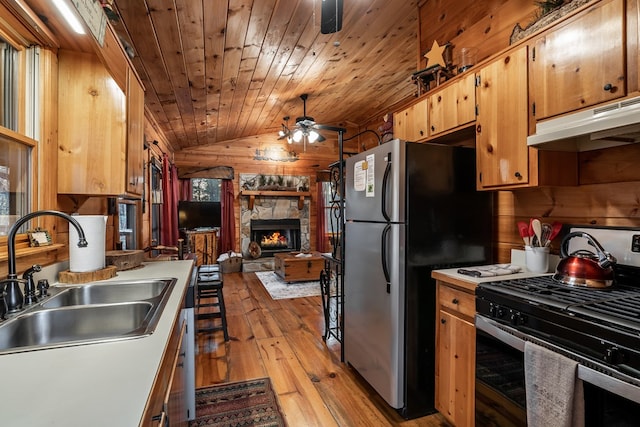 kitchen featuring lofted ceiling, appliances with stainless steel finishes, under cabinet range hood, a fireplace, and a sink