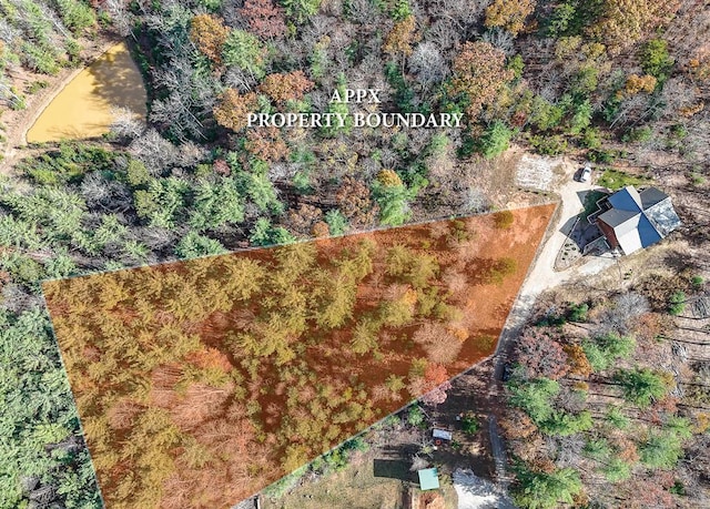 TBD Alex Way, Morganton GA, 30560 land for sale