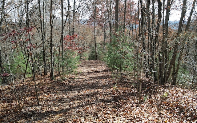 TBD Robinson Ln, Hayesville, NC 28904