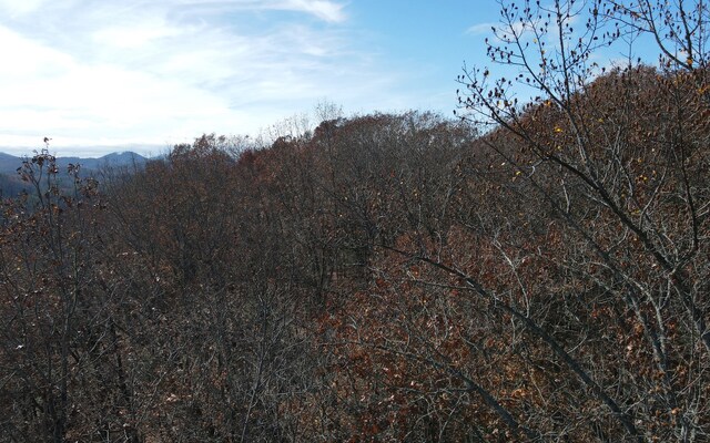 TBD Robinson Ln, Hayesville, NC 28904