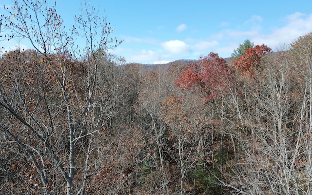 TBD Robinson Ln, Hayesville, NC 28904