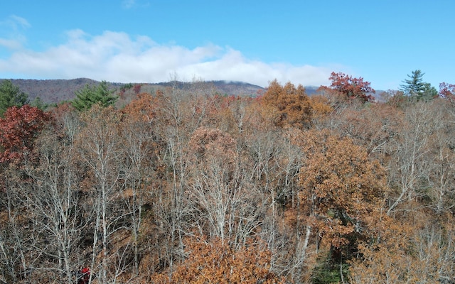 TBD Robinson Ln, Hayesville, NC 28904