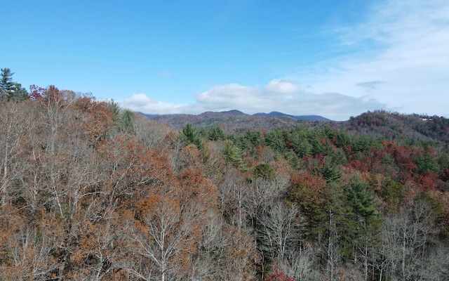 TBD Robinson Ln, Hayesville, NC 28904