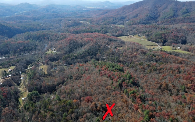 TBD Robinson Ln, Hayesville, NC 28904