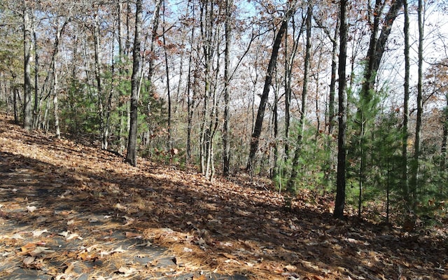 Listing photo 2 for TBD Robinson Ln, Hayesville NC 28904