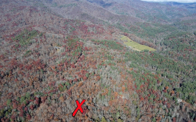 TBD Robinson Ln, Hayesville, NC 28904