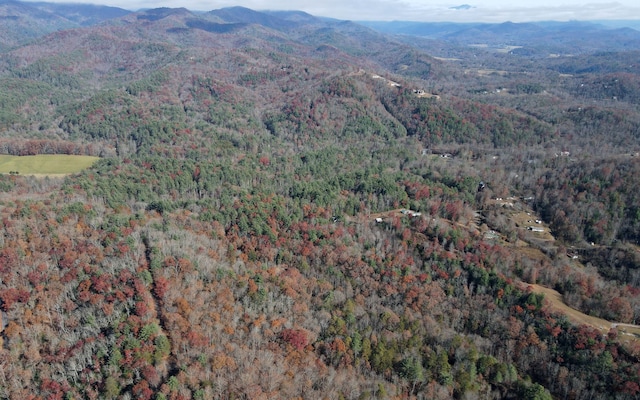 TBD Robinson Ln, Hayesville, NC 28904
