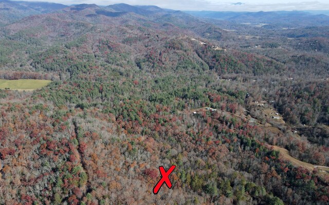 TBD Robinson Ln, Hayesville, NC 28904