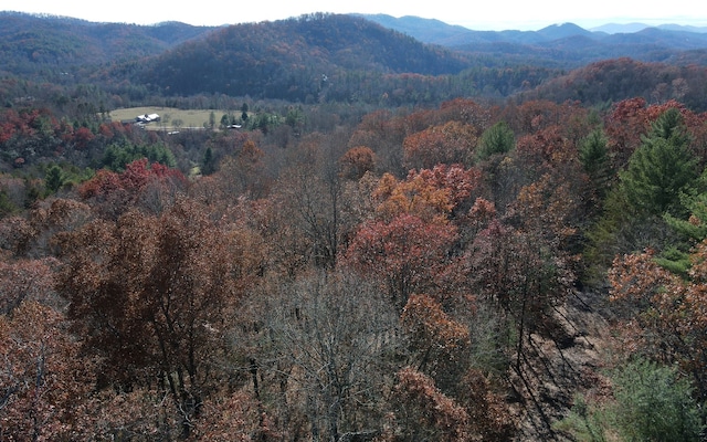 Listing photo 3 for TBD Robinson Ln, Hayesville NC 28904