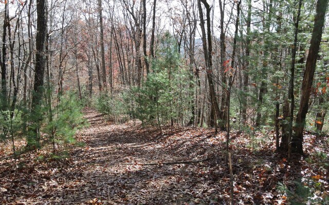 TBD Robinson Ln, Hayesville, NC 28904