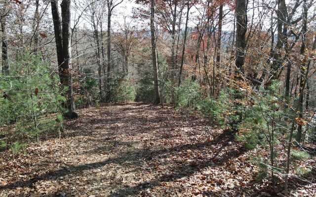 TBD Robinson Ln, Hayesville, NC 28904