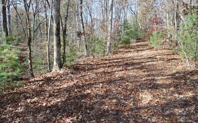 TBD Robinson Ln, Hayesville, NC 28904