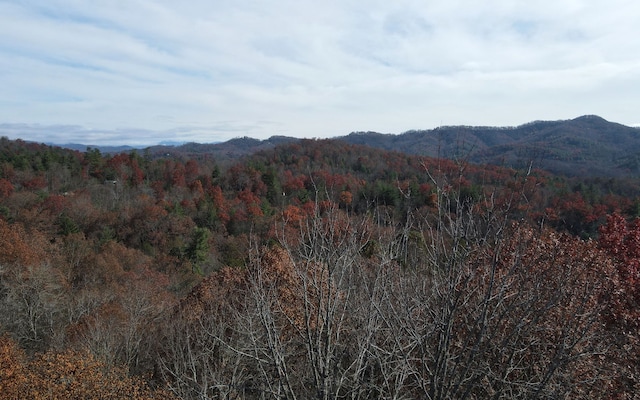 TBD Robinson Ln, Hayesville, NC 28904