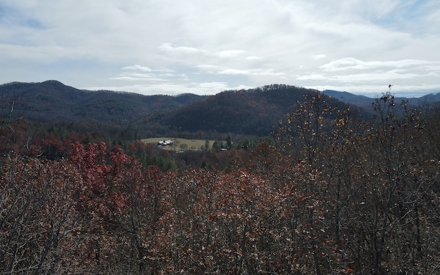 TBD Robinson Ln, Hayesville, NC 28904