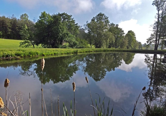 31 Small St, Blairsville, GA 30512 - water view