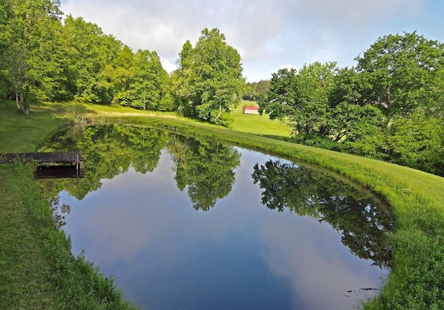 31 Small St, Blairsville, GA 30512 - water view with a boat dock