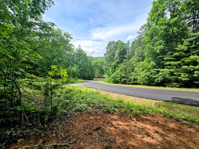 31 Small St, Blairsville, GA 30512 - view of asphalt road featuring a wooded view