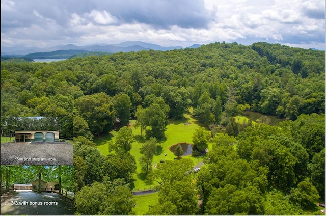 birds eye view of property featuring a mountain view and a wooded view