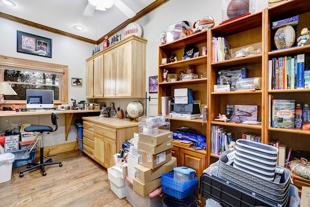 office featuring crown molding, ceiling fan, built in desk, and light wood finished floors