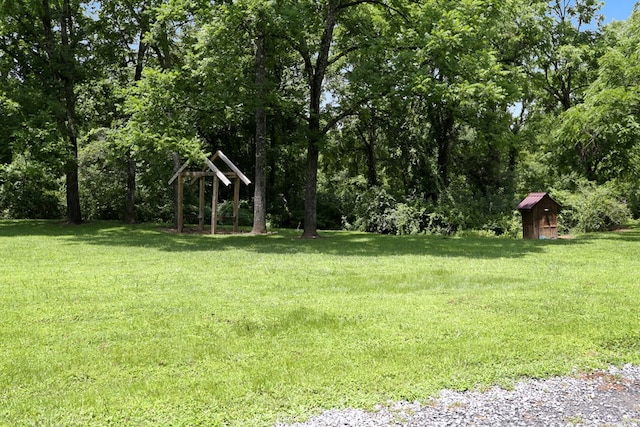 view of yard featuring an outdoor structure