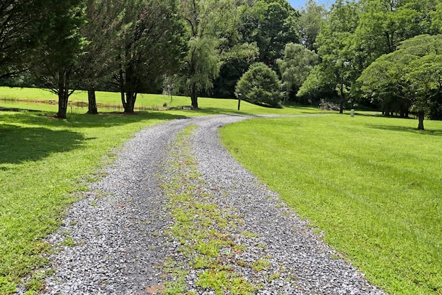 view of home's community featuring a yard