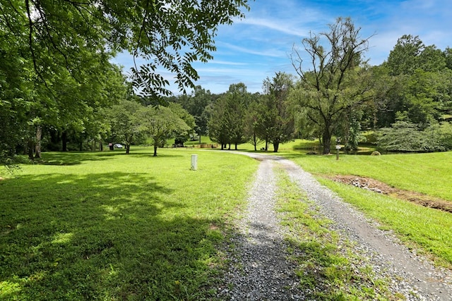 view of property's community featuring a yard