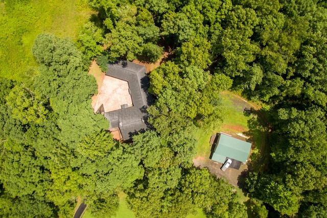 bird's eye view