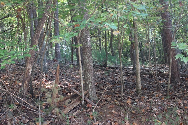 Listing photo 2 for LOT546 N Satsuma Ct, Ellijay GA 30540