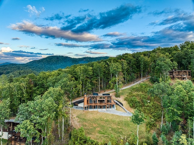 bird's eye view with a mountain view